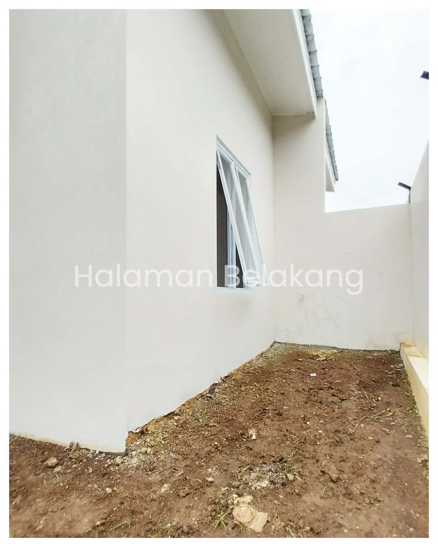 halama belakang-